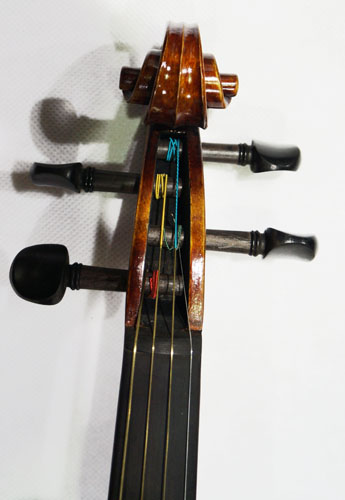 rdv-203-3.jpg